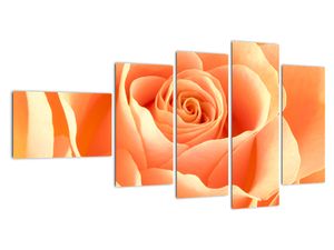 Slika - narančaste ruže