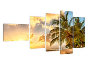 Slika - palme na pješčanoj plaži