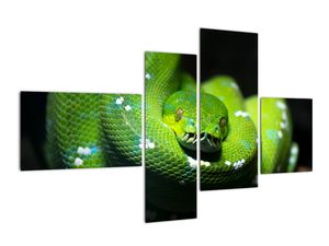 Moderno slikarstvo - zmija