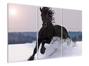 Slika - konji u snijegu