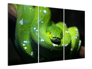 Moderno slikarstvo - zmija