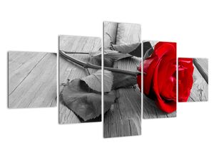 Slika - ruža s crvenim cvijetom