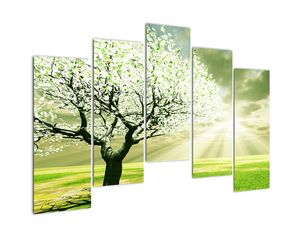 Proljetno drvo - moderne slike