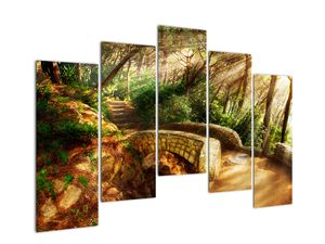 Slika - šumski putovi