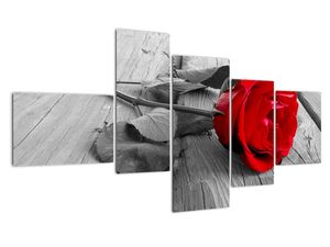 Slika - ruža s crvenim cvijetom