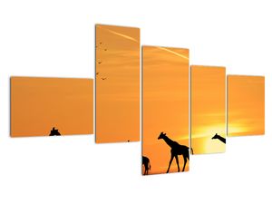 Moderne slike - žirafe