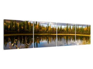 Slika na zidu - šumsko jezero