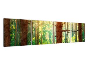 Moderno slikarstvo - šuma