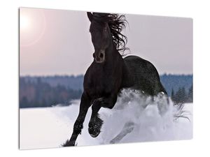Slika - konji u snijegu