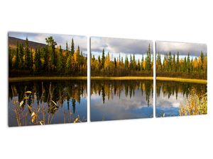 Slika na zidu - šumsko jezero