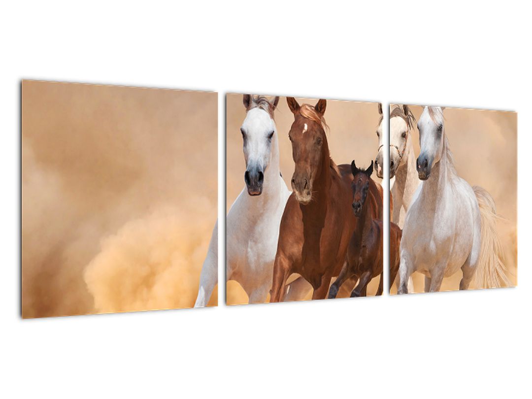Slike - trkaći konji