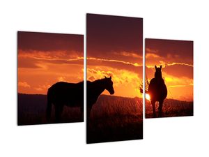 Slika - konji pri zalasku sunca