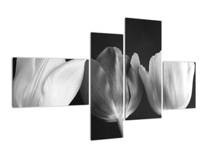 Slika - tri tulipana