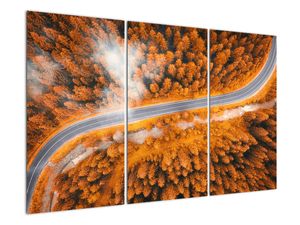 Cesta kroz šumu - moderne slike na zidu