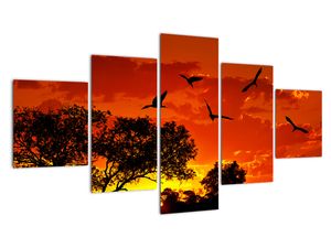 Slika - zalazeće sunce s pticama