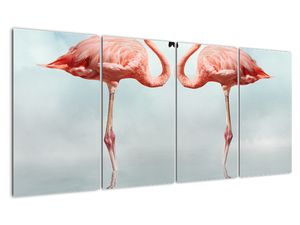 Flamingos - slika
