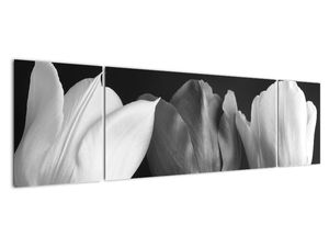 Slika - tri tulipana