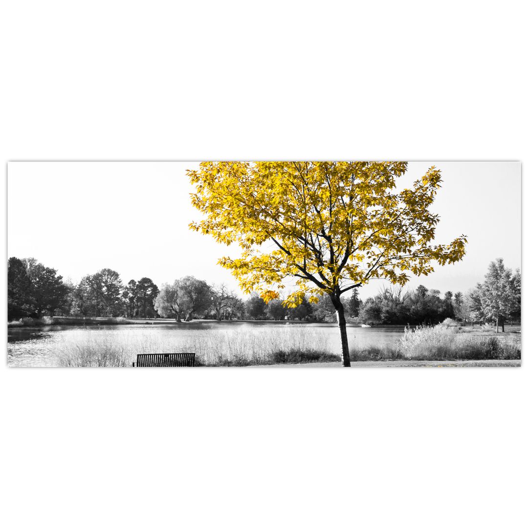 Obraz žlutého stromu v přírodě